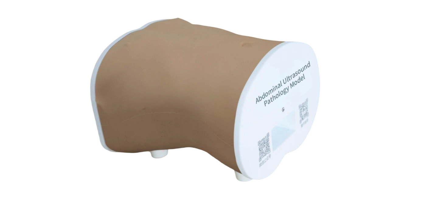 Abdominal Ultrasound Pathology Model 